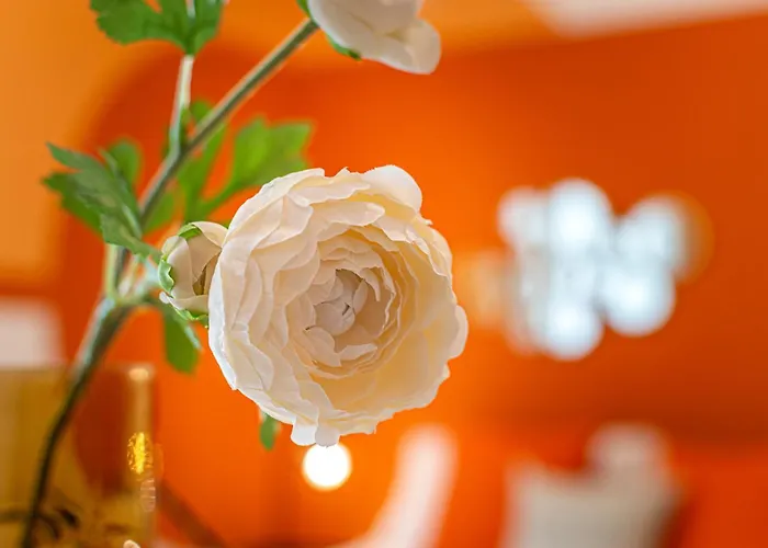 Apartmán Aperol Spritz Řím